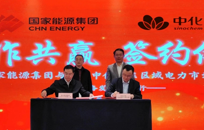 中国中化与国家能源集团召开电力合作交流会