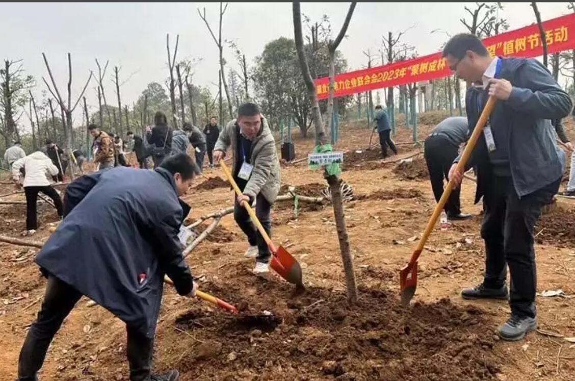 湖北省电力企业联合会举办“聚树成林·聚合希望”植树活动