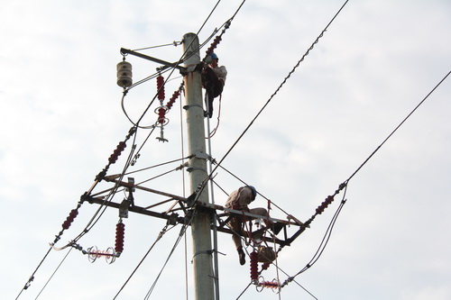 国网霞浦供电公司加装线路避雷器，保障两节期间电网可靠性