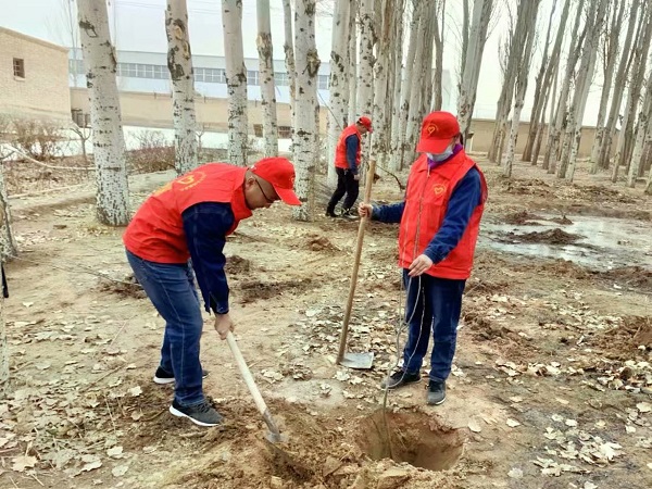 新疆兵团一师电力玉尔滚供电所开展植树活动