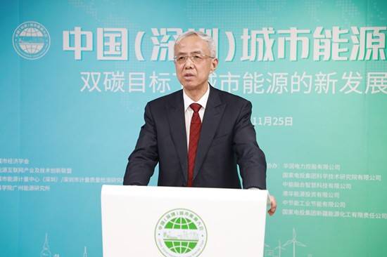 国家能源局原副局长张玉清：城市是能源供应和消