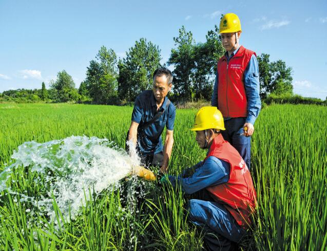江西电力公司开通绿色通道全力保障灌溉用电