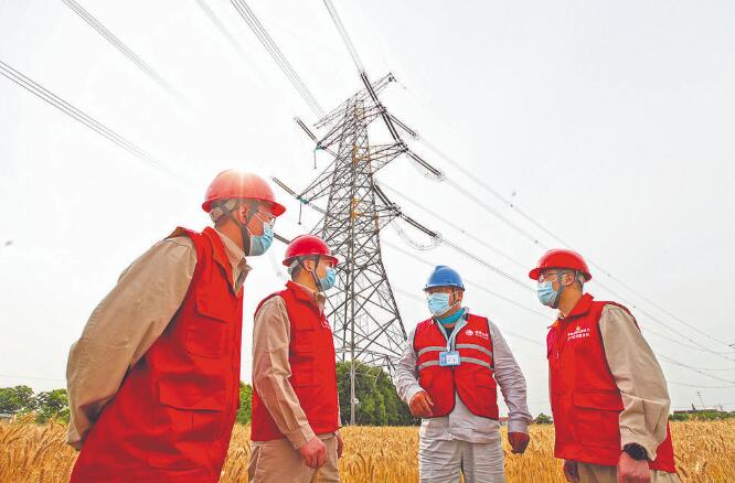 江苏苏州供电公司：党建引领聚合力 企业发展添动力