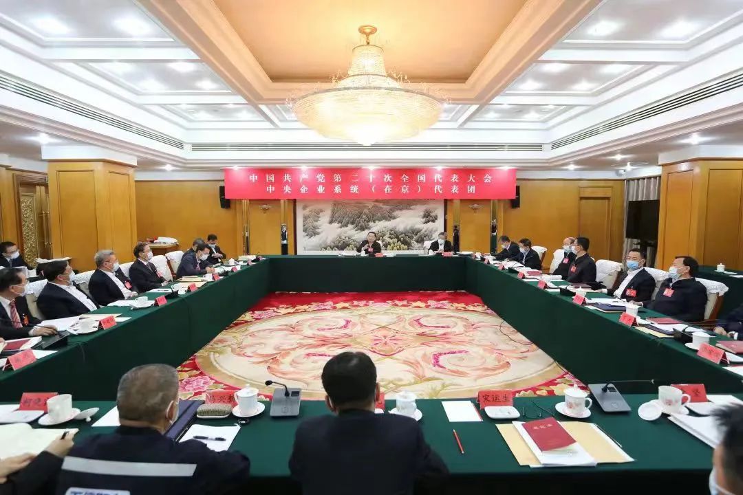 辛保安代表参加中央企业系统(在京)代表团分组会议并发言