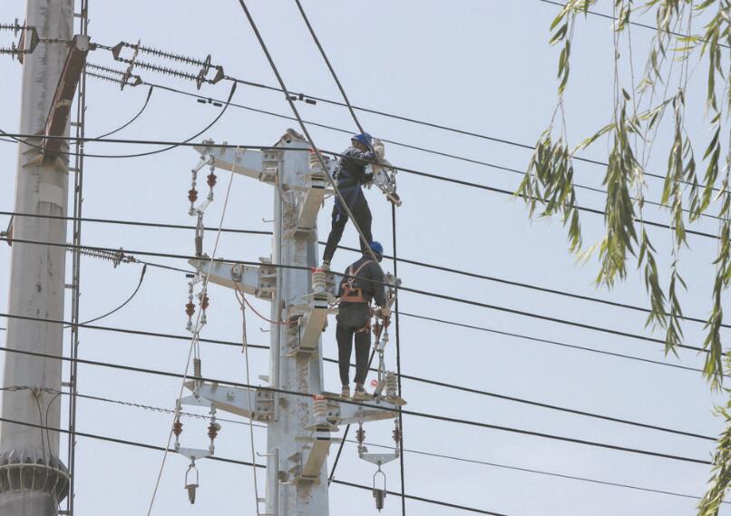 国网高密市供电：整村改造配电网 产业发展动力足