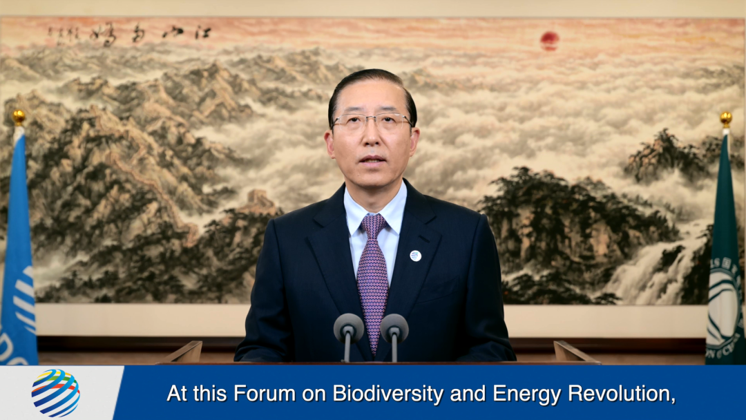 国家电网董事长辛保安视频出席生物多样性与能源革命论坛并致辞