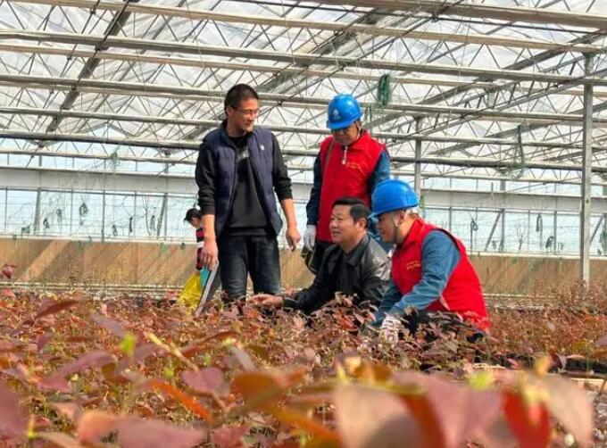 国网鱼台县供电公司满格电能助力农业基地致富增收
